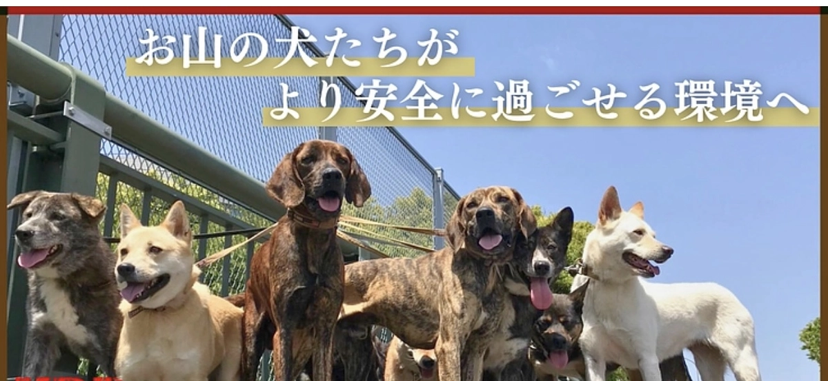 応援しているKDPさんのプロジェクトのご紹介をします！皆様よろしければ応援をお願いします