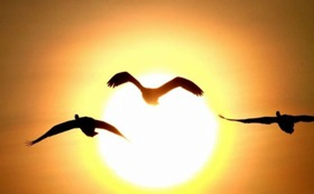 【10,000円】お礼のメールと出版した写真集の本をギフト致します。