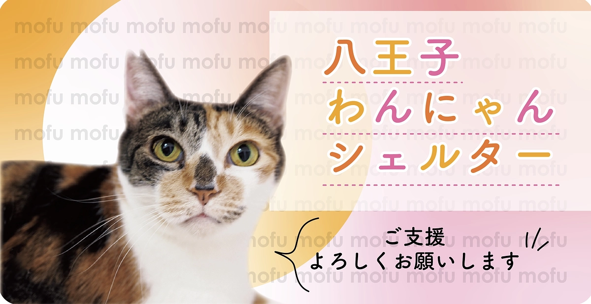 八王子わんにゃんシェルター運営継続のサポートをお願いします！