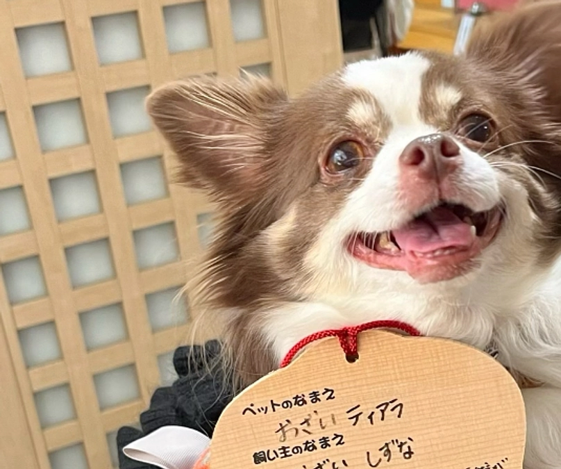 2023.12.02  手術の祈願をしに行ってきました⛩