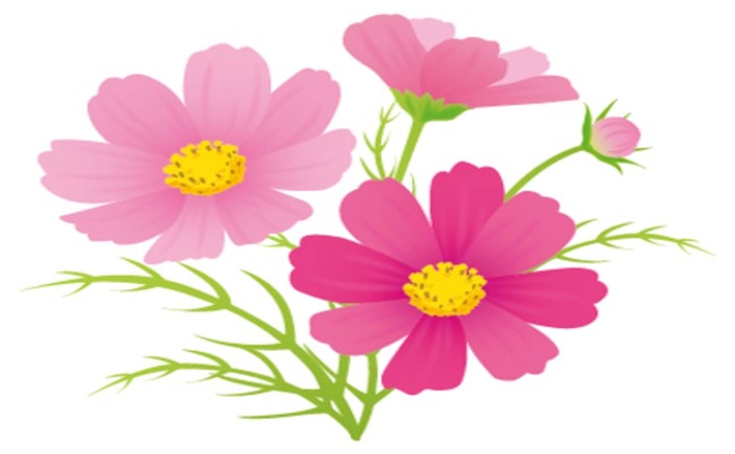 [福井市内の方向け] 感謝のメール　3,000円