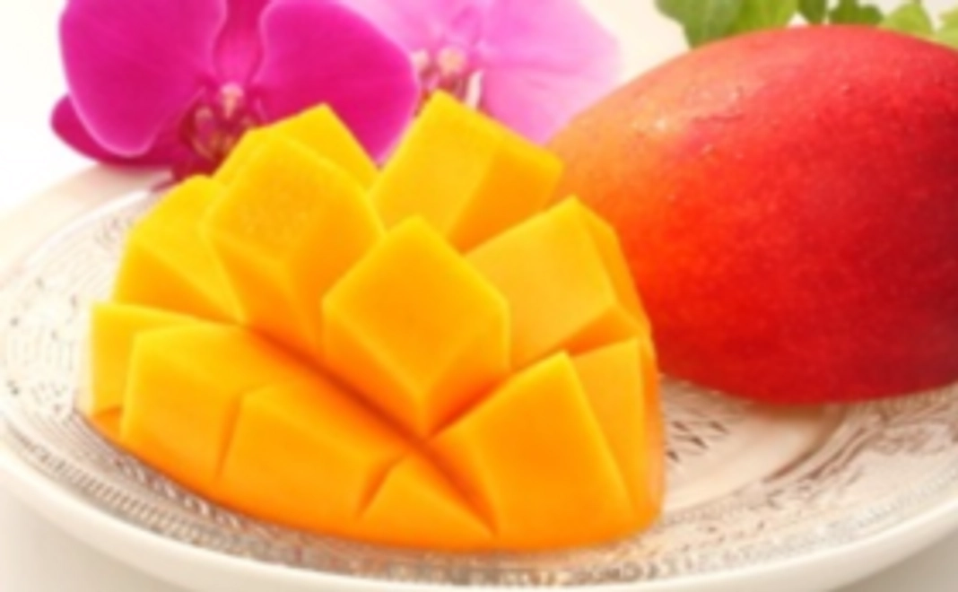 太陽をたくさん浴びて育った果物たち