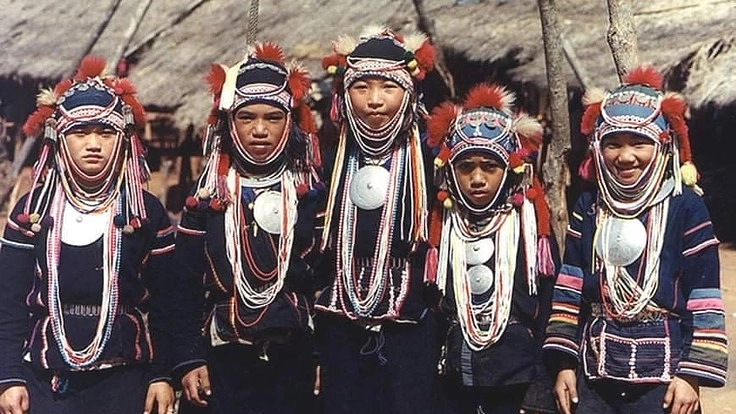 ミャンマーでケシ栽培の代わりに行われるコーヒー豆栽培を支援したい！