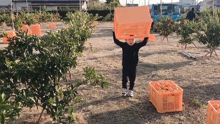 静岡の荒れた畑をオレンジ色に！甘いみかんで耕作放棄地を復活させたい