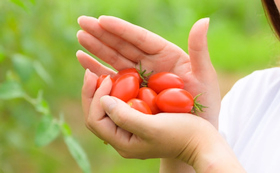 アイリノアイコ　800gで応援コース