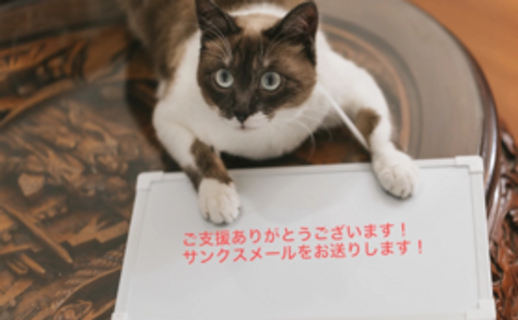 <プロジェクト応援コース>