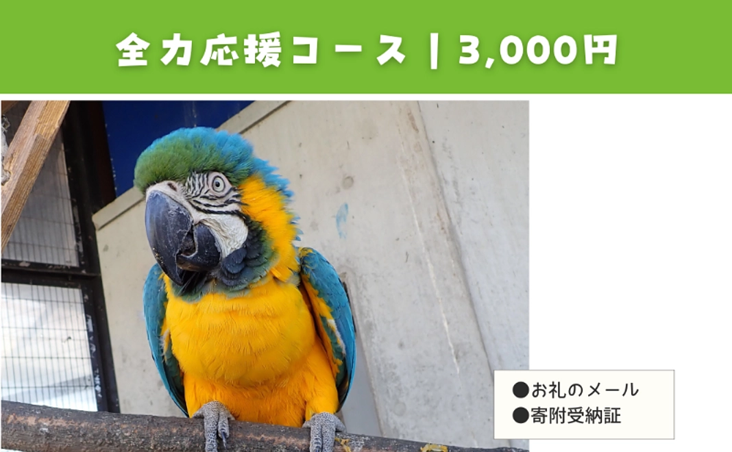 【寄附金控除対象】全力応援コース（3千円）