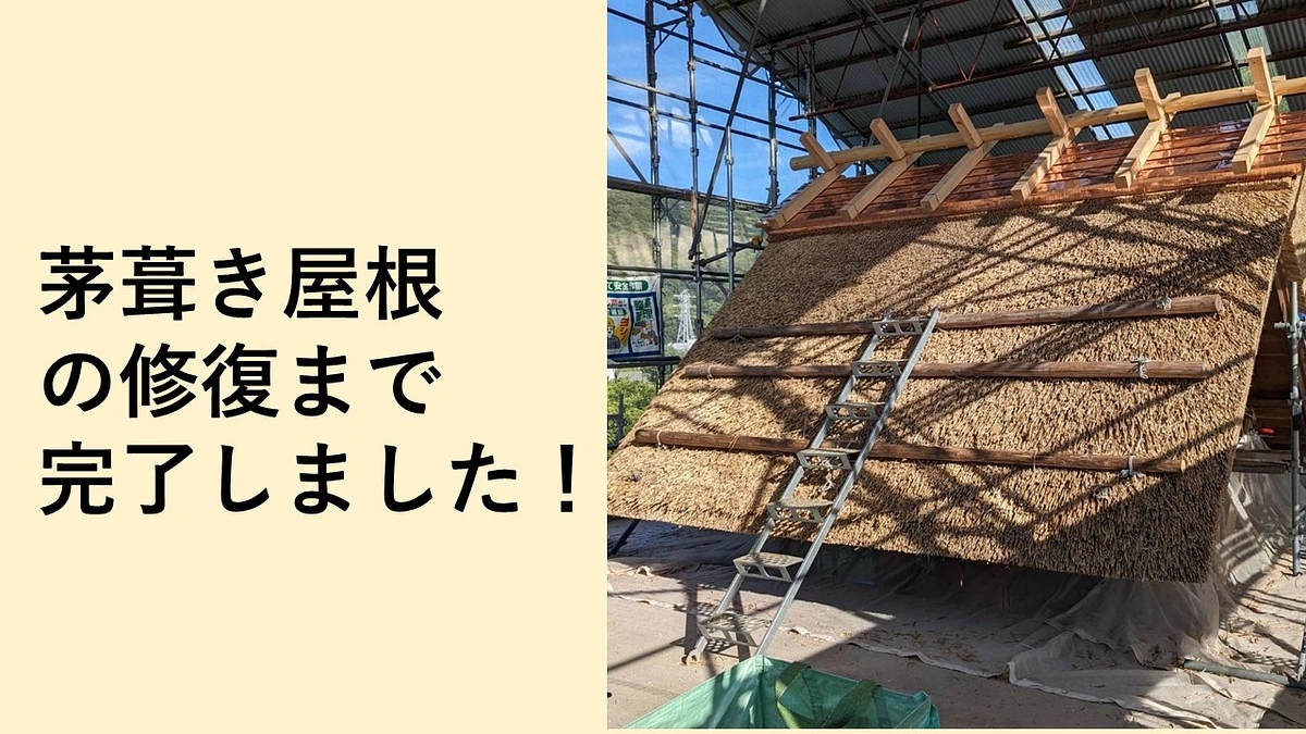 織殿修復工事の進捗状況｜茅葺屋根の修復が完了しました！