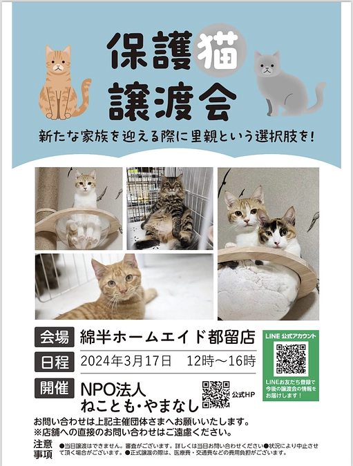 祝　ねこともやまなし　山梨県初譲渡会開催！　IN綿半ホームエイド都留店