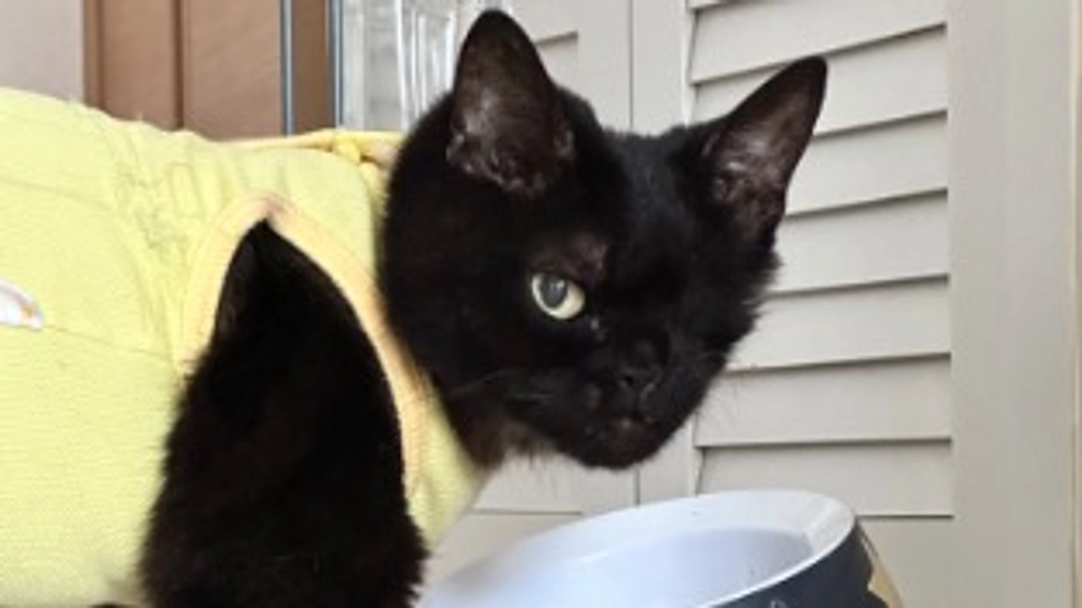 🆘🆘残り4日です🙀🆘🆘