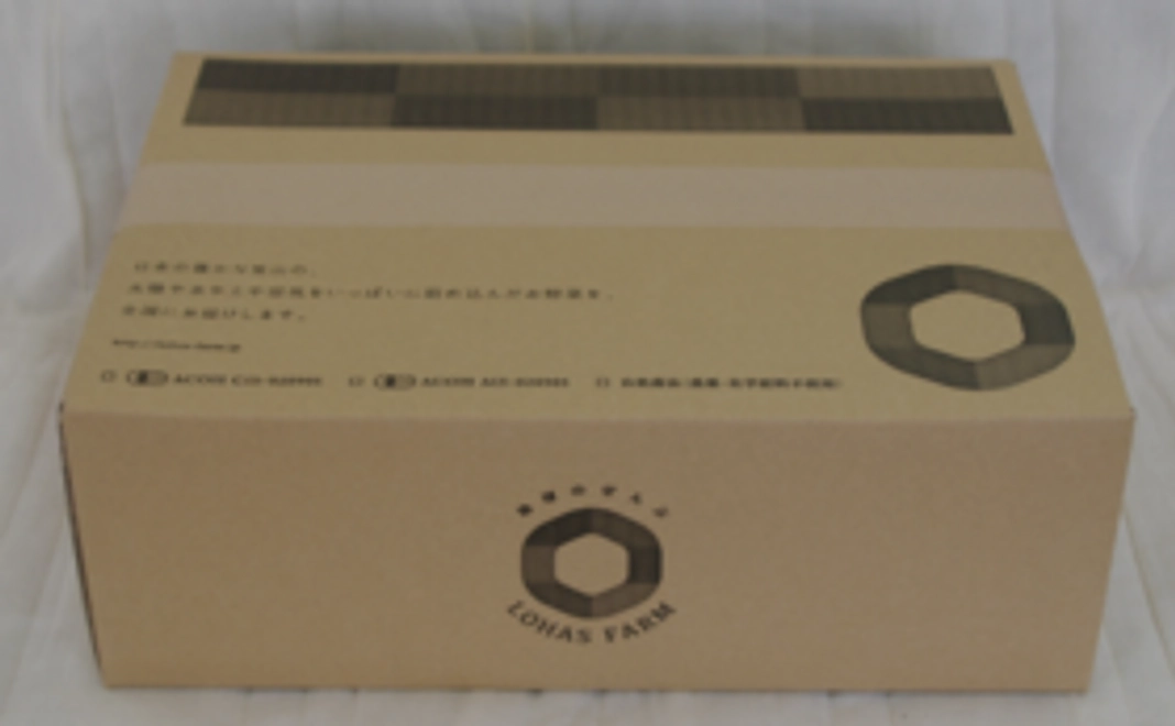 まずはお試し！こだわりのオーガニック食材　お試しコース