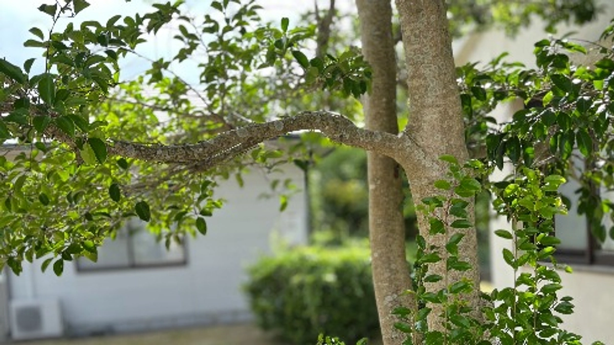 糸島夏休み明けプロジェクトのお知らせ