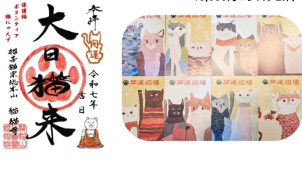 リターン品紹介　猫猫寺の御朱印・ポストカード