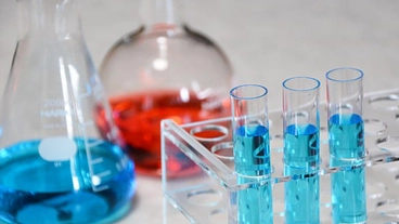 博士課程最後の半年間のためにご支援いただけないでしょうか。 のトップ画像