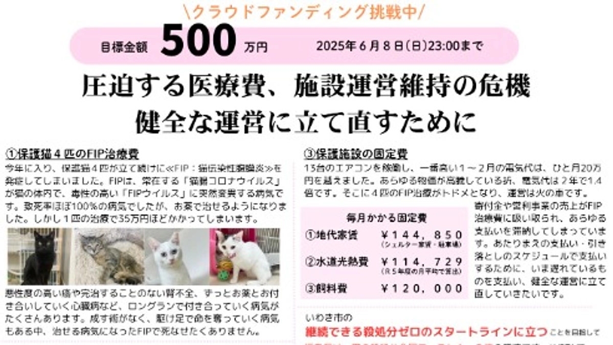 チラシの掲示配布/SNSシェアご協力のお願い