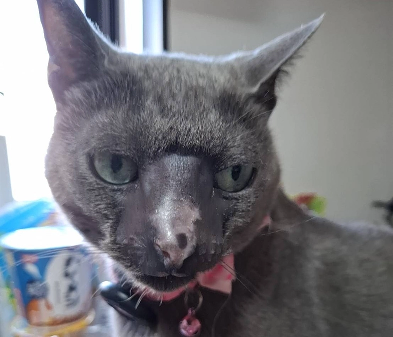 今日は私の検査の日でした。