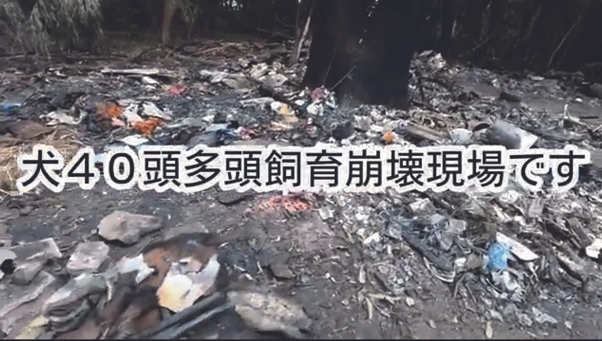 動物病院開院にむけての進捗報告および現在取り組んでいる案件につきまして