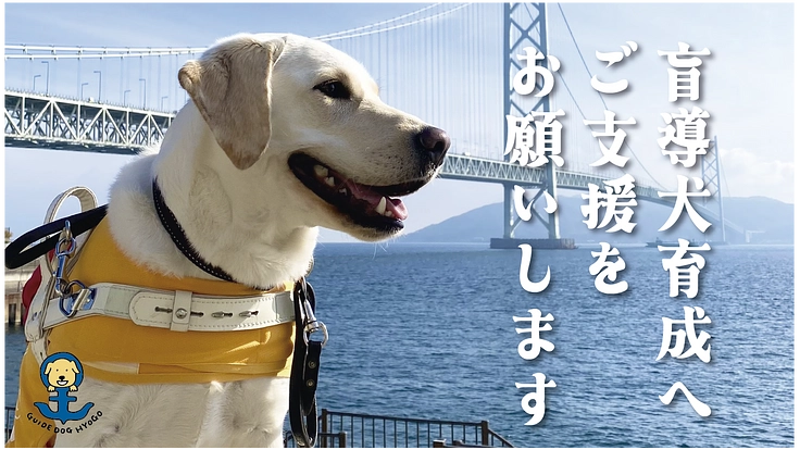 視覚障がい者の明るい未来を実現する盲導犬の育成費にご支援を！ 5枚目