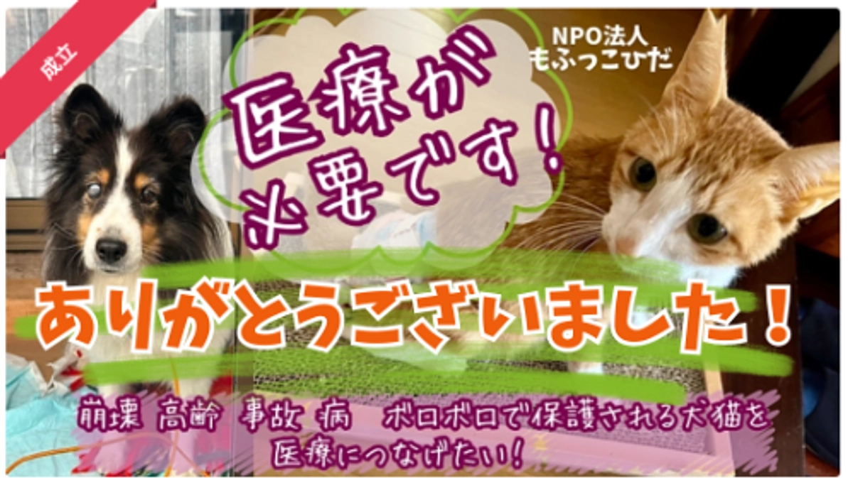 § 応援ありがとうございました §