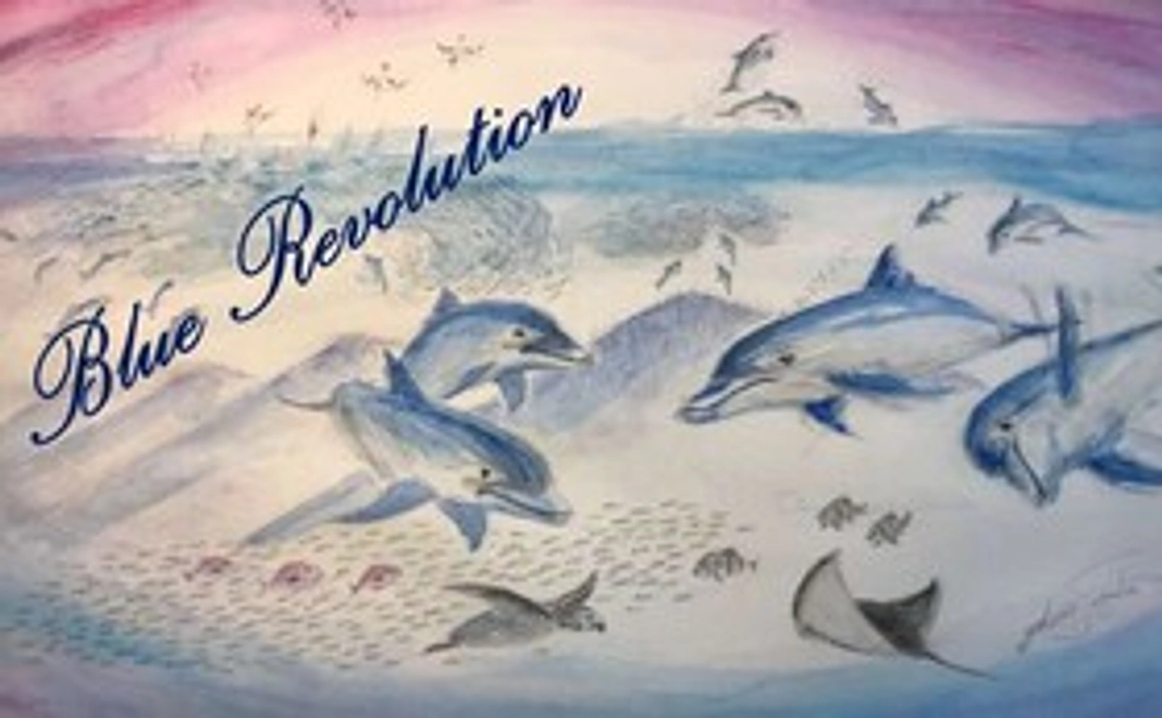 地球の未来を明るくするBlueRevolution★5000円パワー!