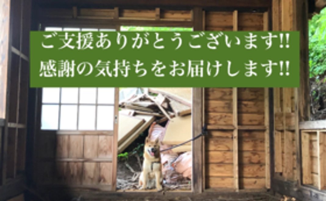 ご支援に感謝します！