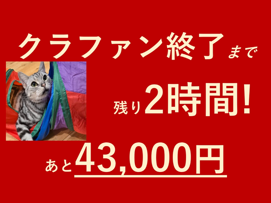 クラファン終了まで残り2時間‼️