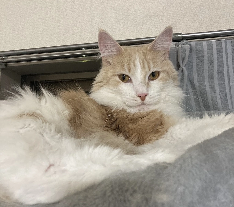 10/17ルイの様子