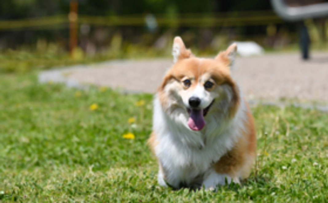 ¥3,000のリターン