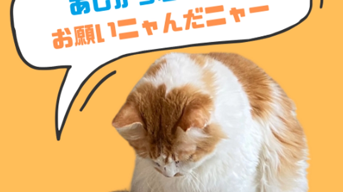 【支援者様が740名に！！】シェア企画始めました！お力を貸してください！