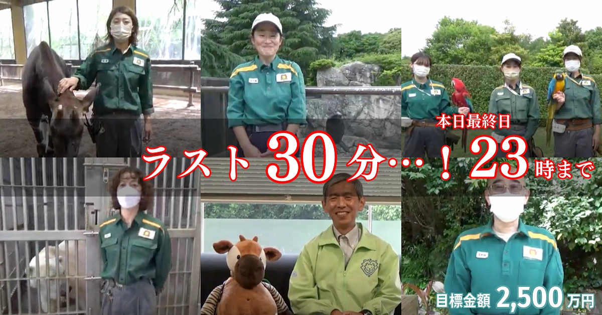 ラスト30分...！皆さまと笑顔でゴールテープを切りたいです！