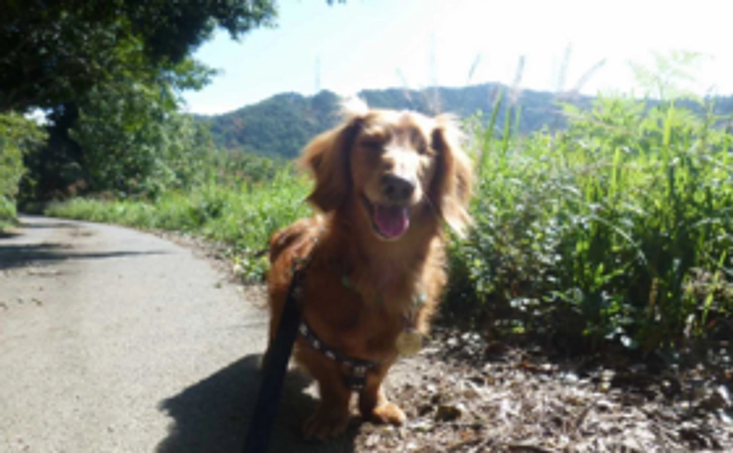 お礼状を送らせて頂きます。