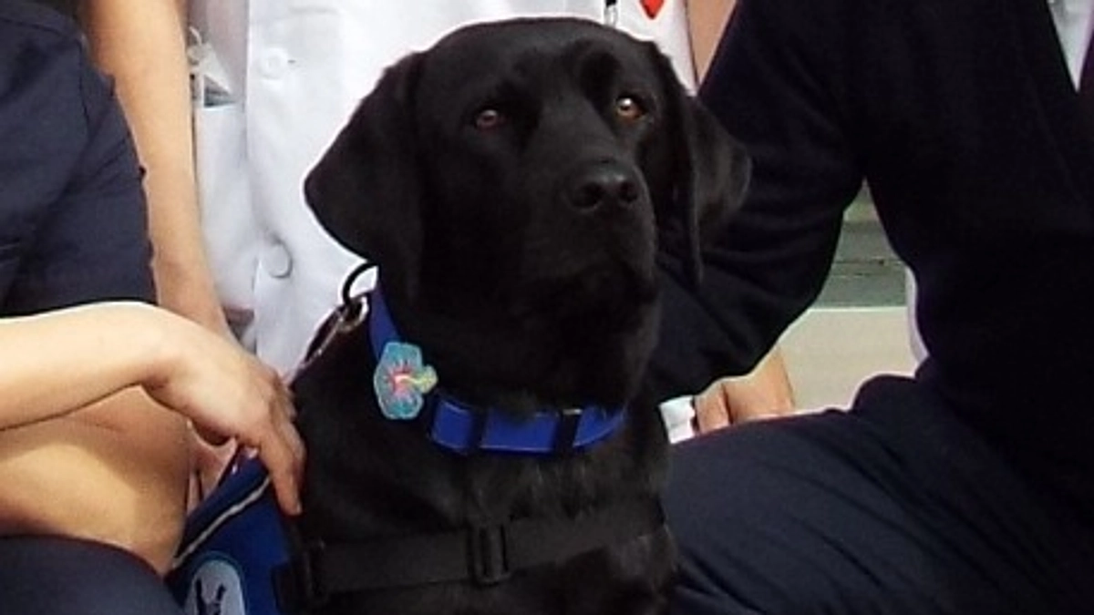 【クラファン開始までの活動】　その2　オリちゃんを迎えて研修会をしました