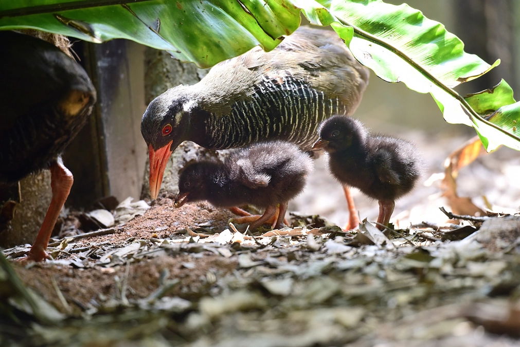 死亡した原因を知る意味をもう一度。
