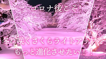 コロナ後こそ「冬に咲くさくらライトアップ」をもっと進化させたい！ のトップ画像