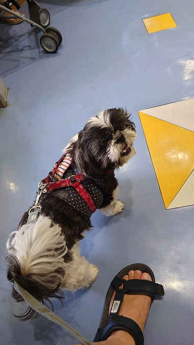 ご支援の感謝と通院結果のご報告