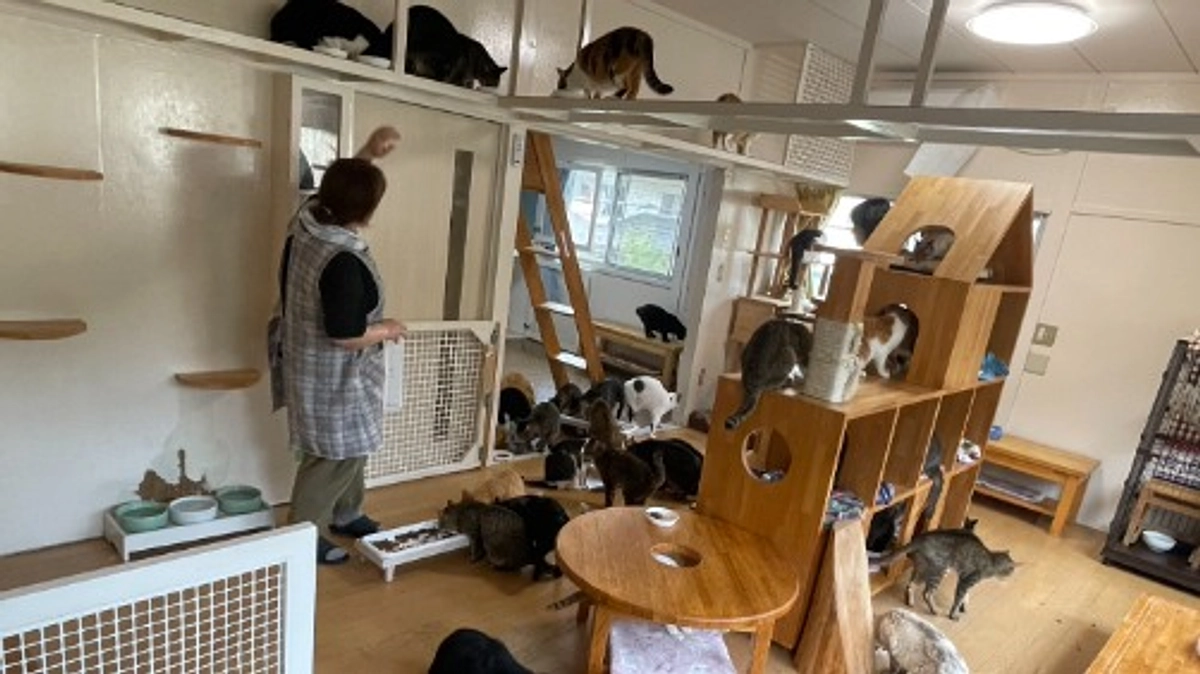 健全な運営に立て直し、保健所からのひきとりを再開させたい