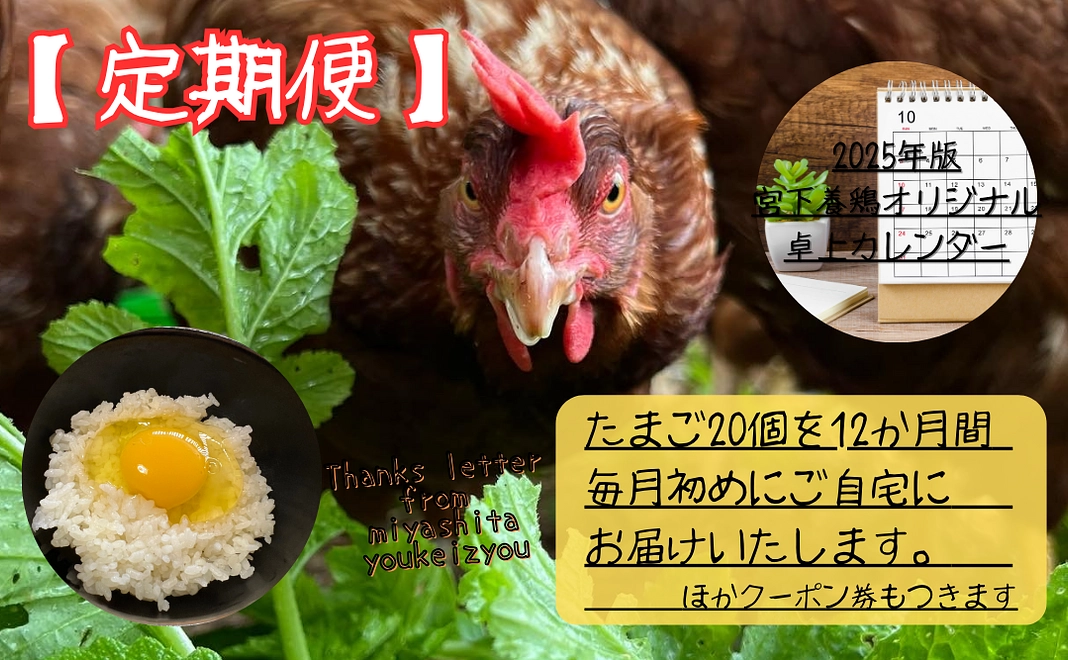 【定期便】宮下養鶏を「卵でとことん応援！」コース１