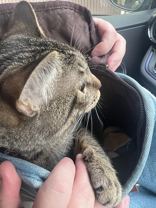 本日病院へ行ってきました