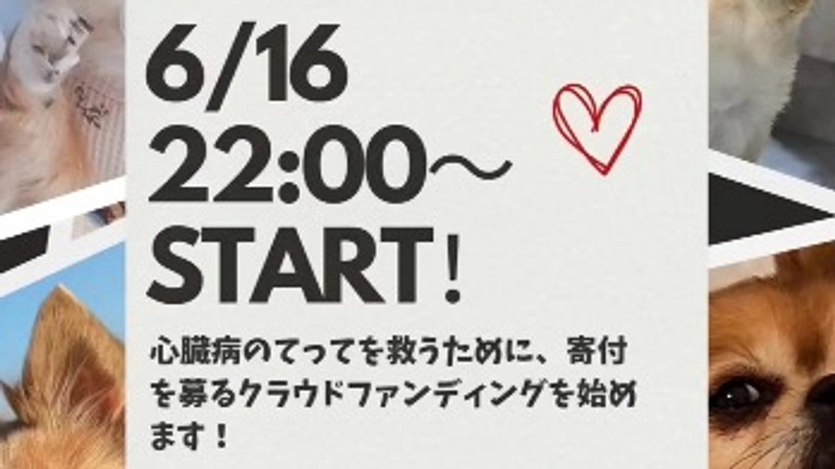 みなさまはじめまして！【活動報告1日目】