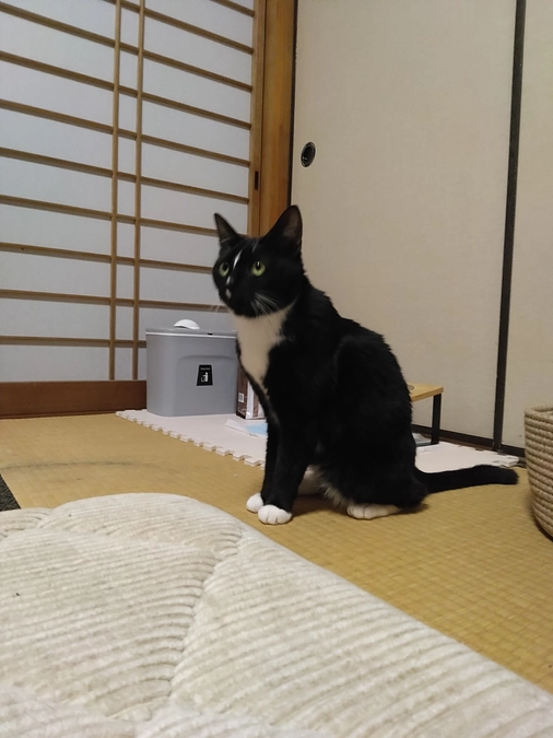 6/1はなちゃんの様子