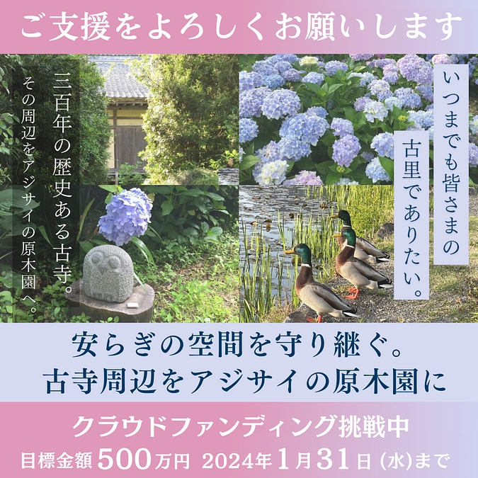 「加茂荘花鳥園：安らぎの空間を守り継ぐ。古寺周辺をアジサイの原木園に」11月28日朝9時スタート！
