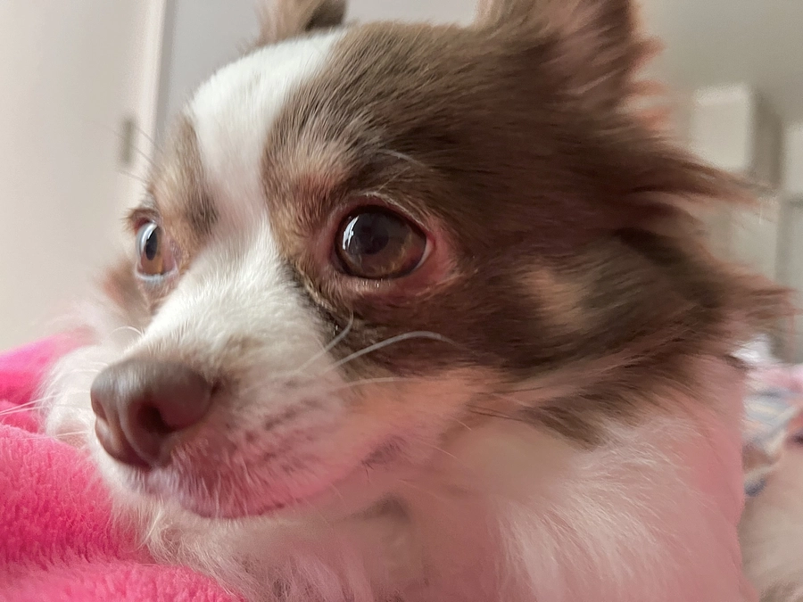 2023.11.28  代理支援のご報告🗒