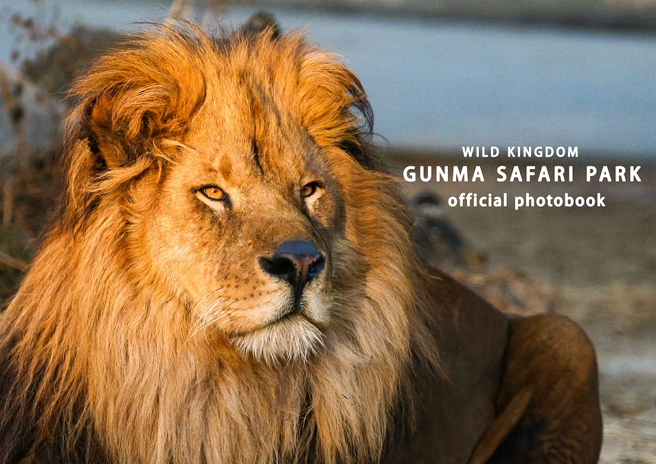 2月1日(木) 進捗報告・返礼品紹介～群馬サファリパークオフィシャルフォトブック～