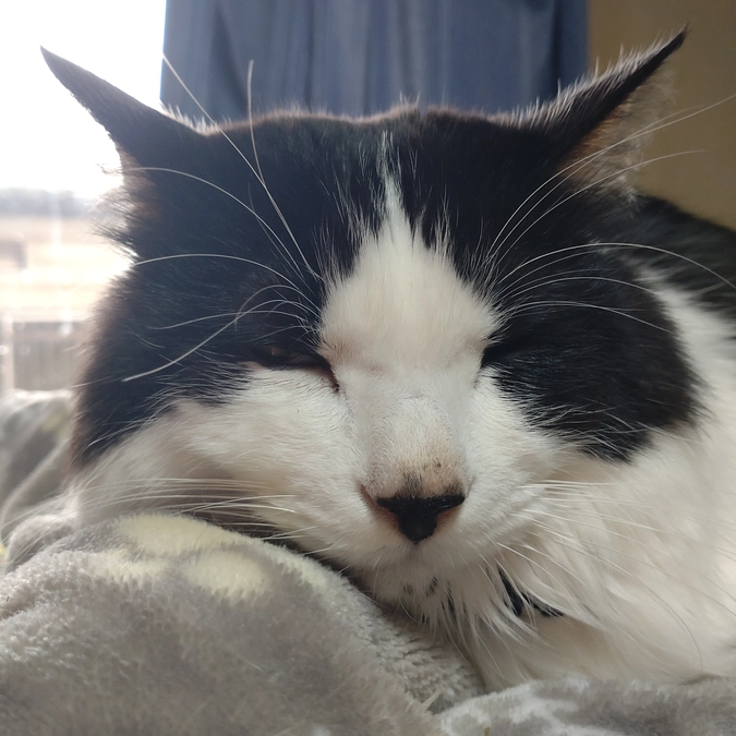 いっけメ〜〜〜ン