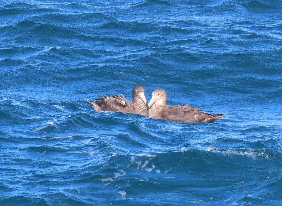 2024年2月2日「愛をこめて」
