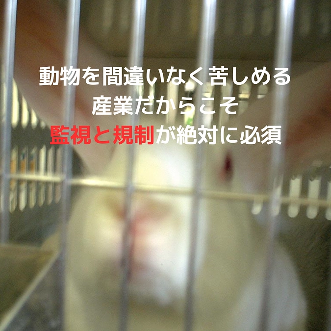 動物愛護法改正に向けて動いています