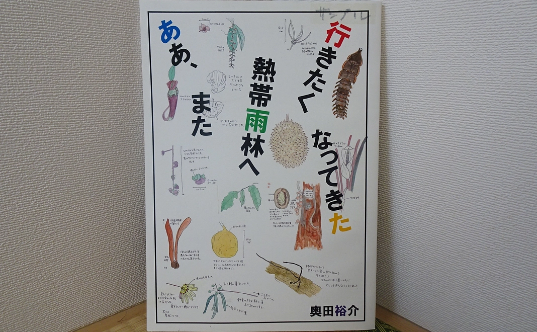 熱帯雨林についての本(寄付をいただいた方のお名前を印刷します)を1冊差し上げ、残りは書店販売分に使わせていただきます。