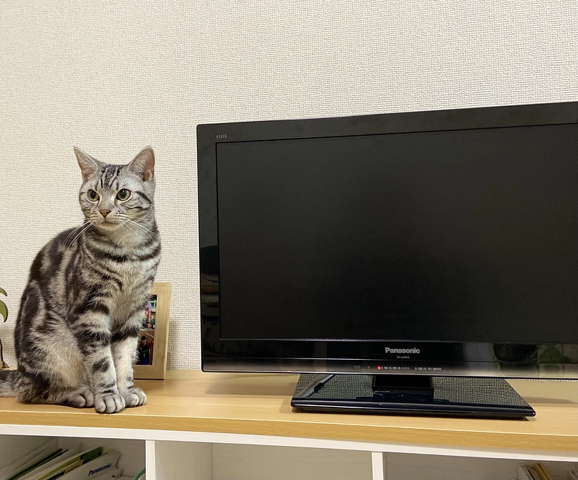 2023.5.8⭐️ #闘病生活 20日目⭐️