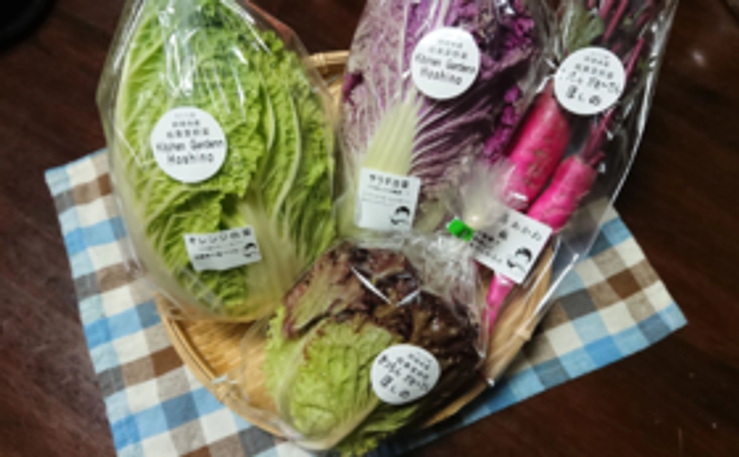 心を込めてつくった季節のユニークお野菜セット1回分