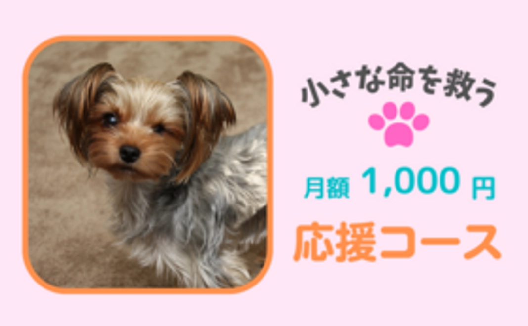 毎月応援！1,000円コース